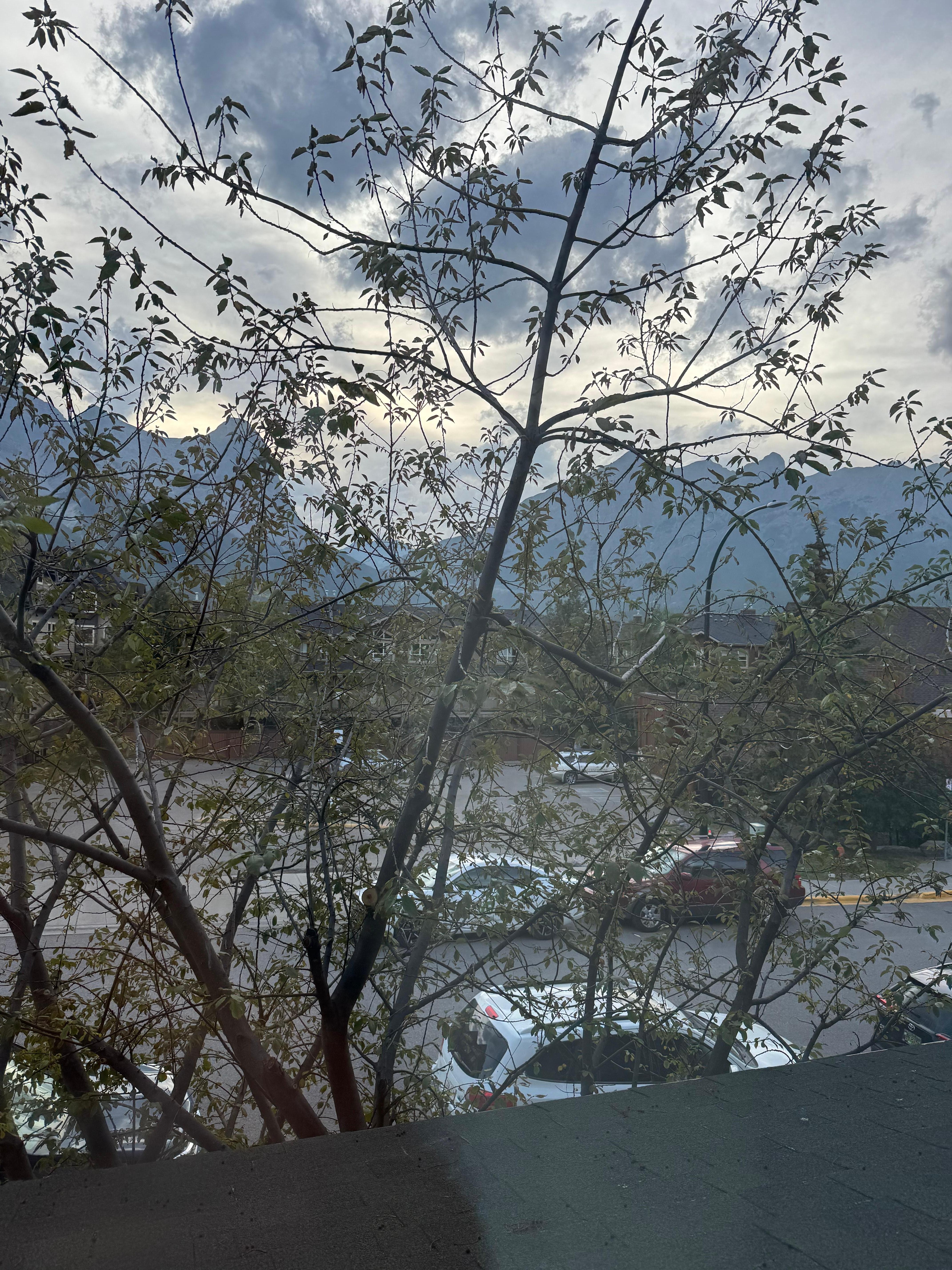 Master bedroom window view