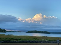 Taking a walk and seeing this beautiful picture!