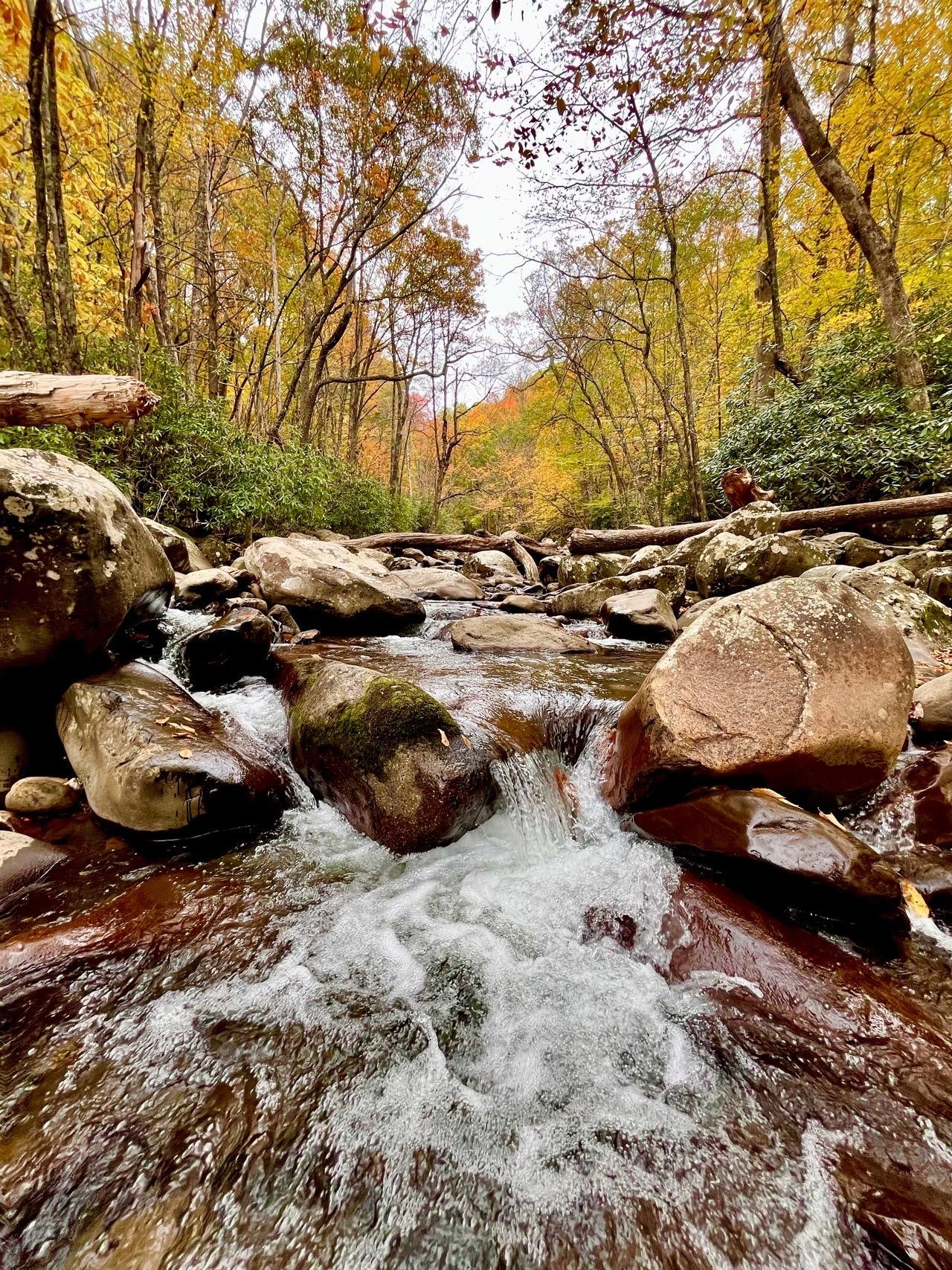 Chimney's picnic area.