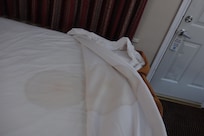 Bed Stain