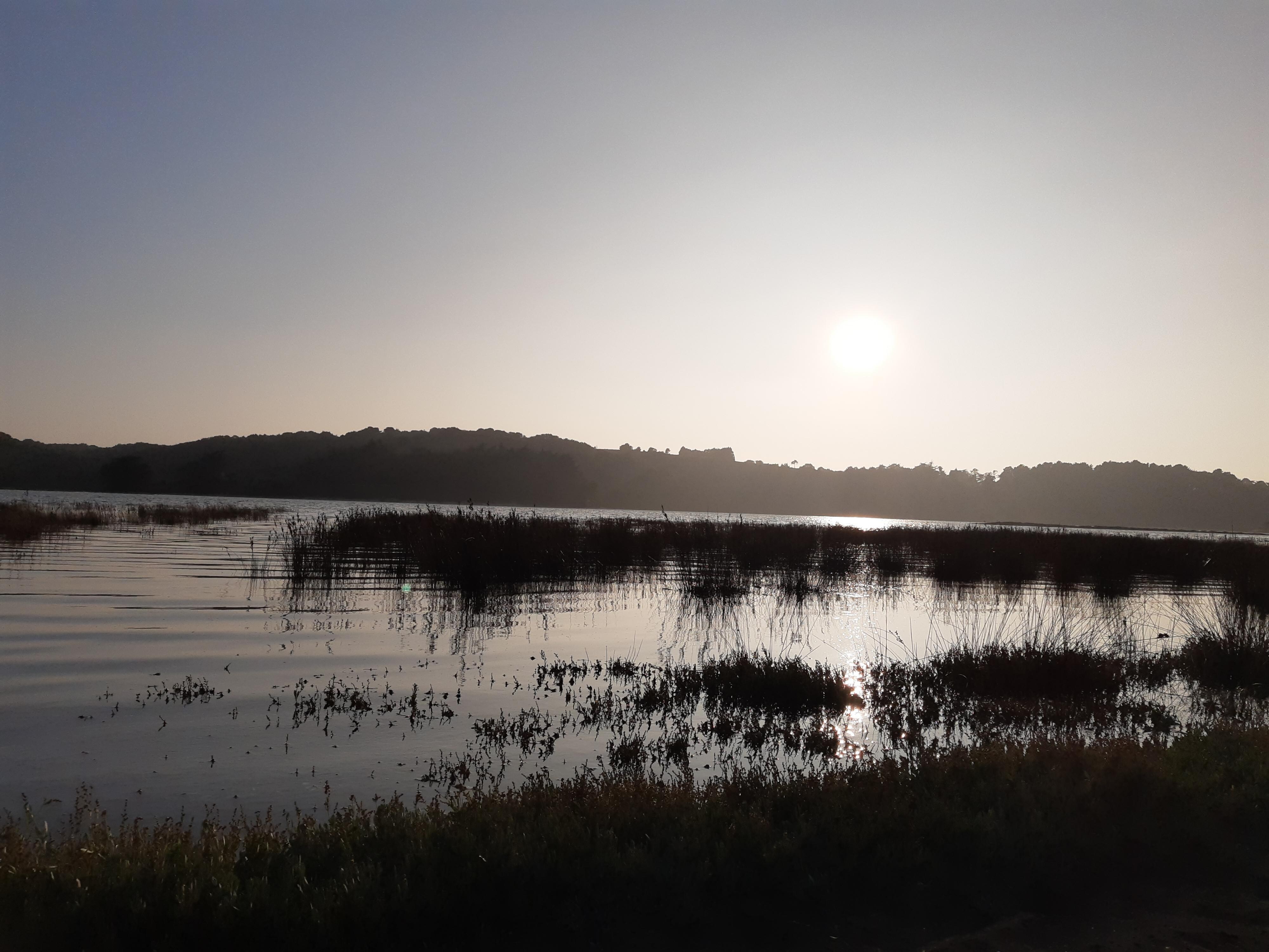 Het zicht op de zeearm tegenover het huisje, op enkele meters wandelafstand.