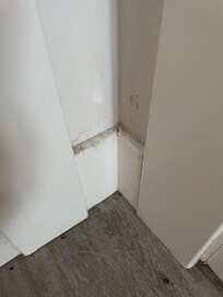 Dirty apartment