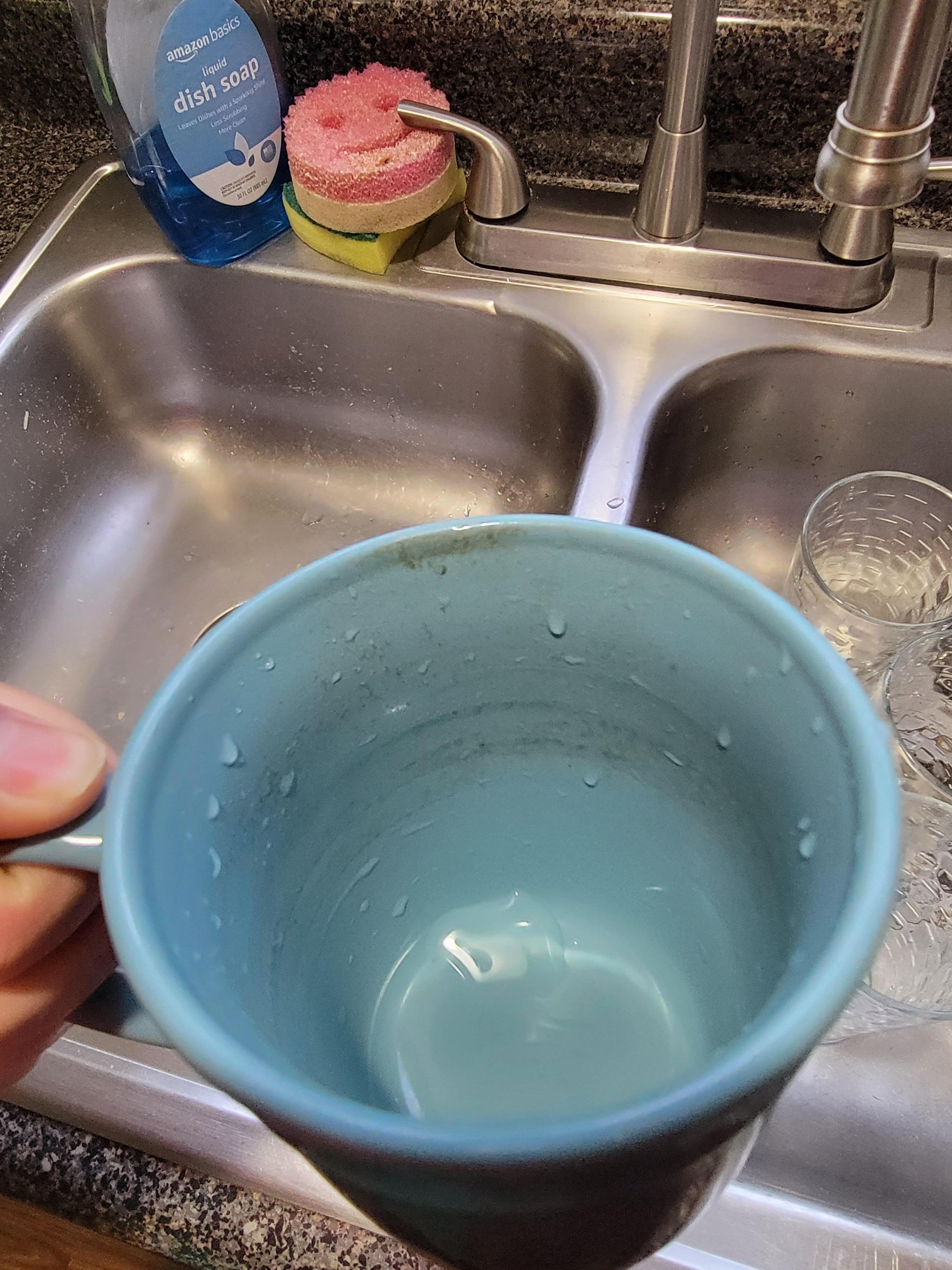 I was making a cup of coffee and pulled this out of the cabinet. Gross. 