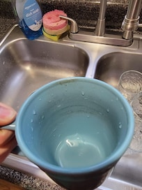 I was making a cup of coffee and pulled this out of the cabinet. Gross.