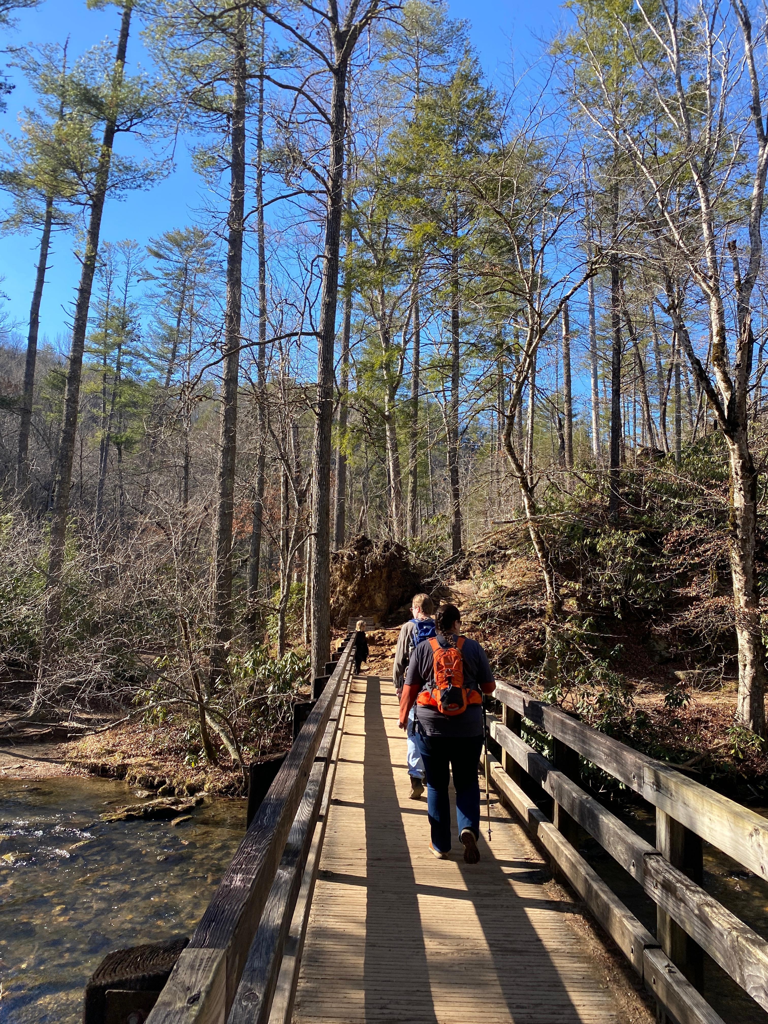 On the way to Abrams Falls