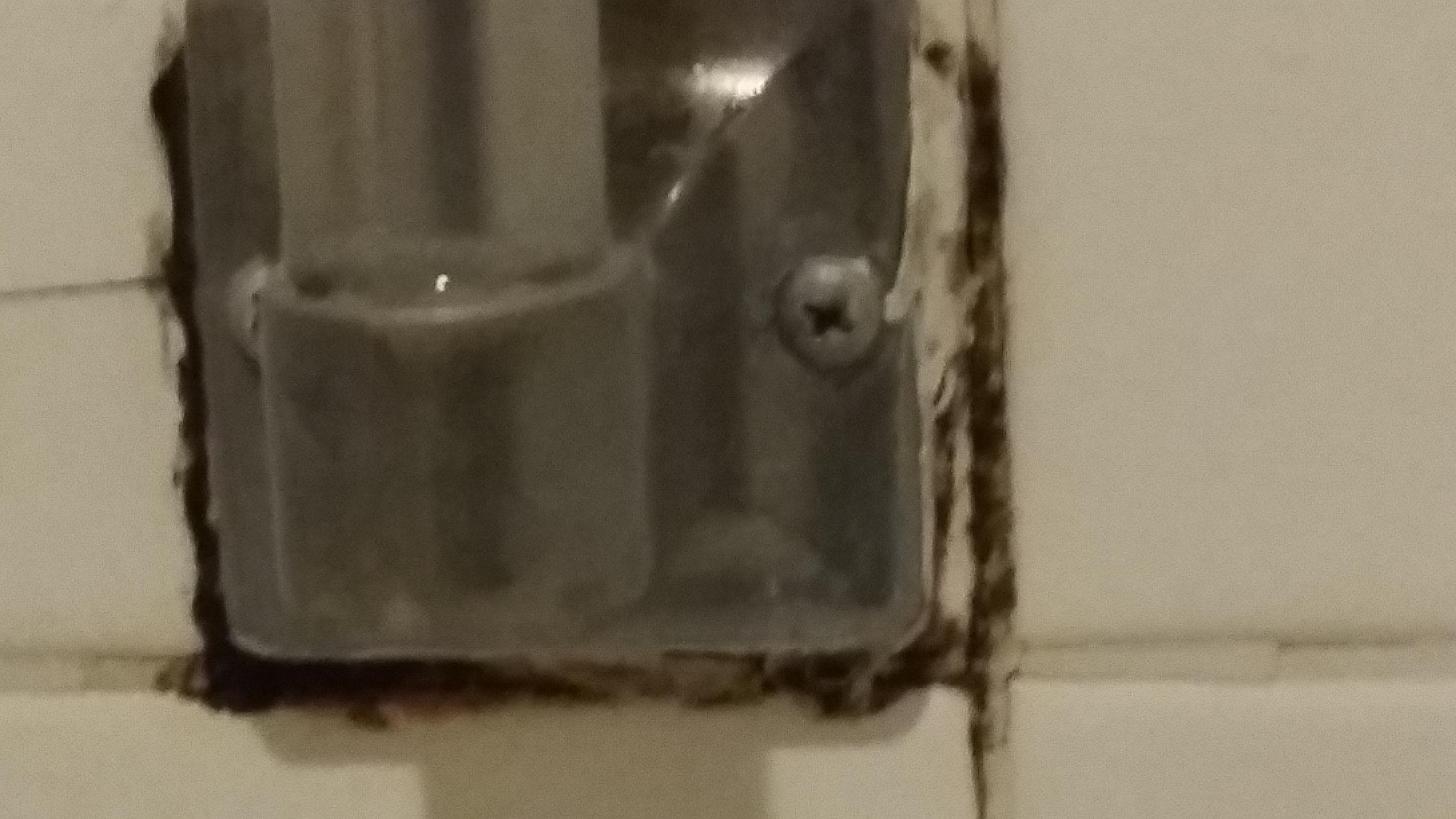 Mold under the soap dish in the tub.