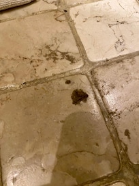 Sol de la salle de bain sale : une grosse tache noire bien épaisse et collante qui date de plusieurs jours voir semaines … Le ménage est fait très superficiellement !