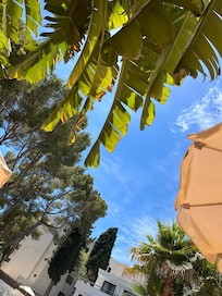 Helnöjda efter 10-dagars avkoppling på detta fantastiska hotell, vi bodde i en juniorsvit.