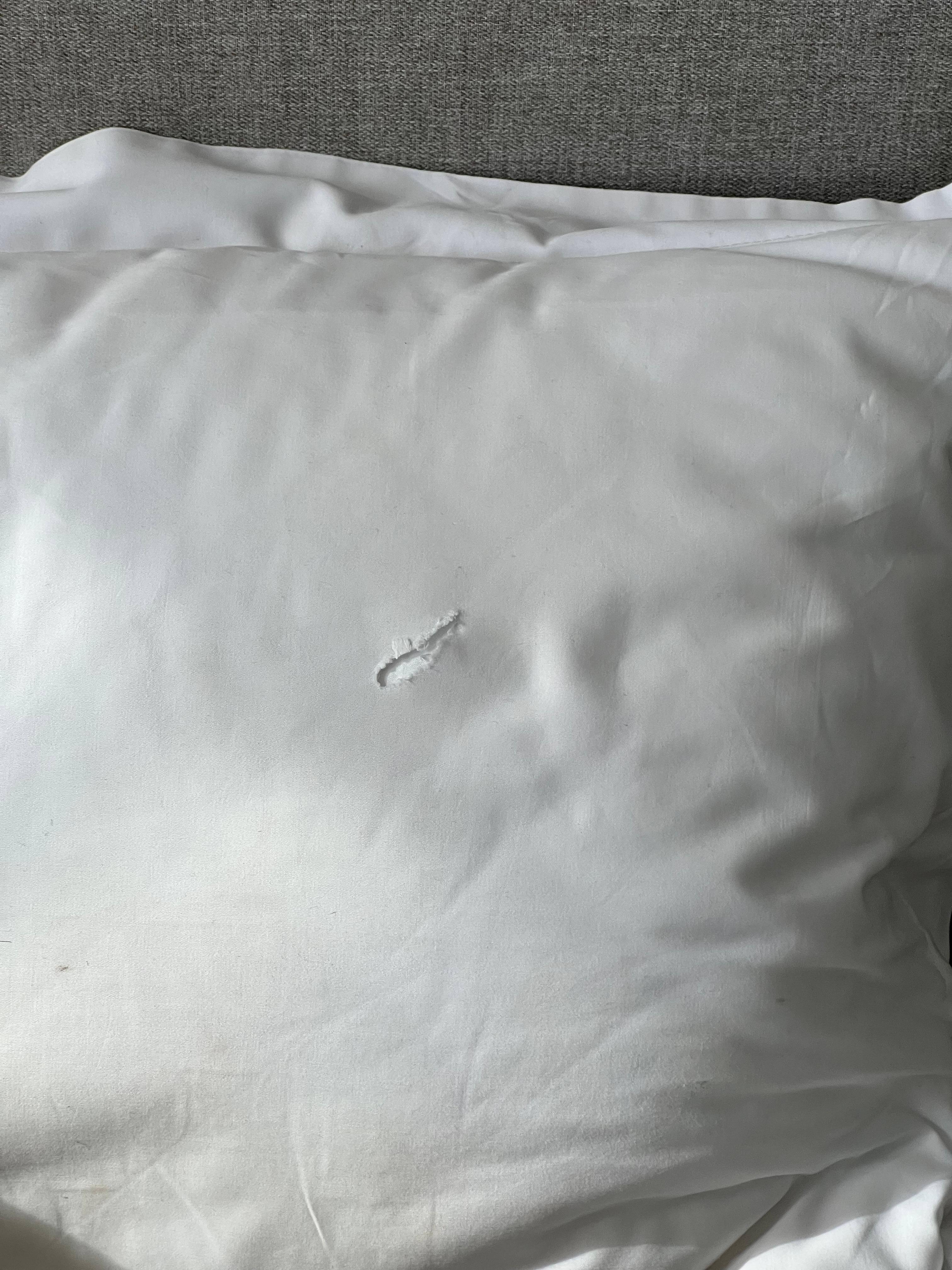 The pillow case