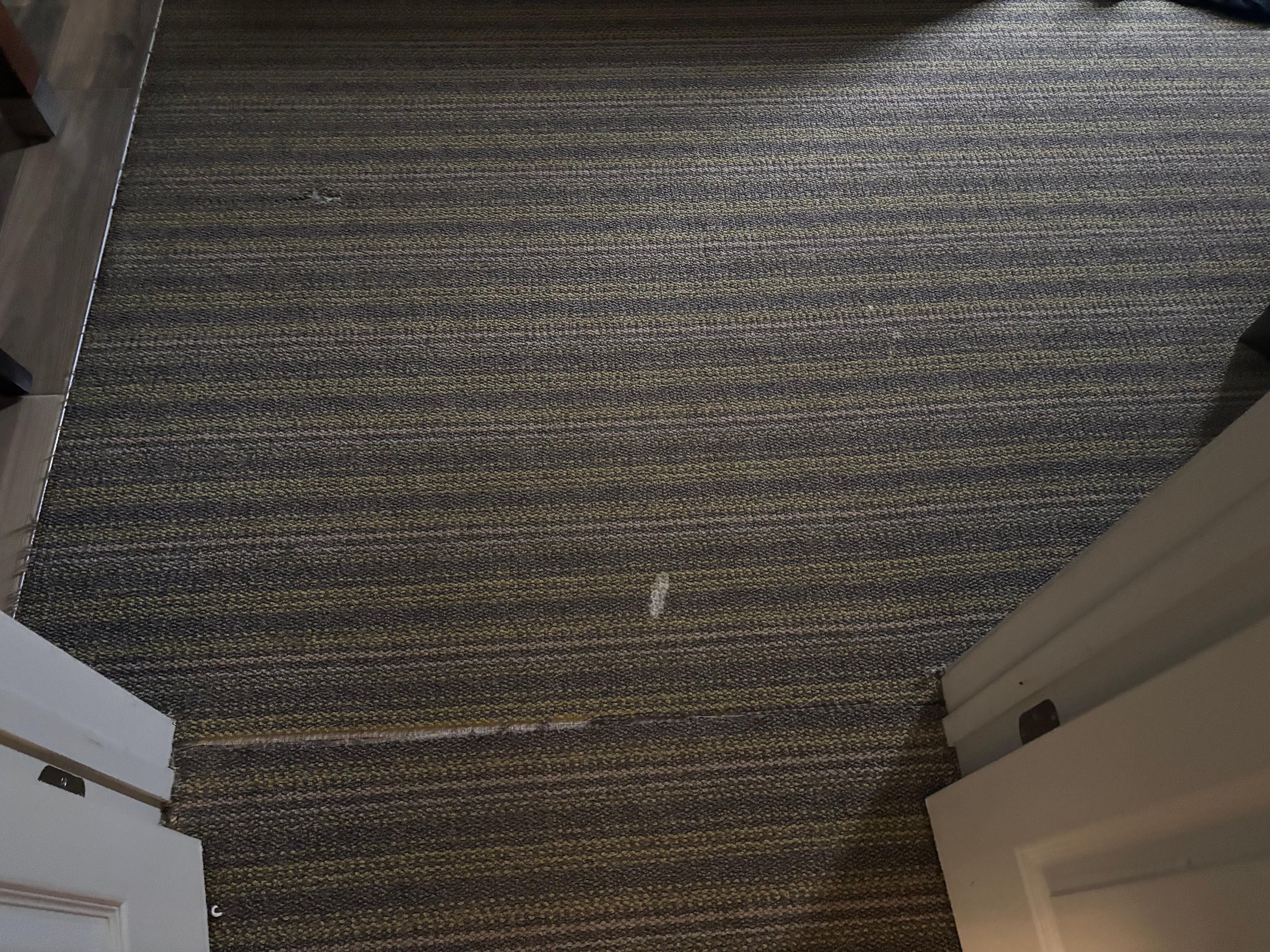 Stains in carpet