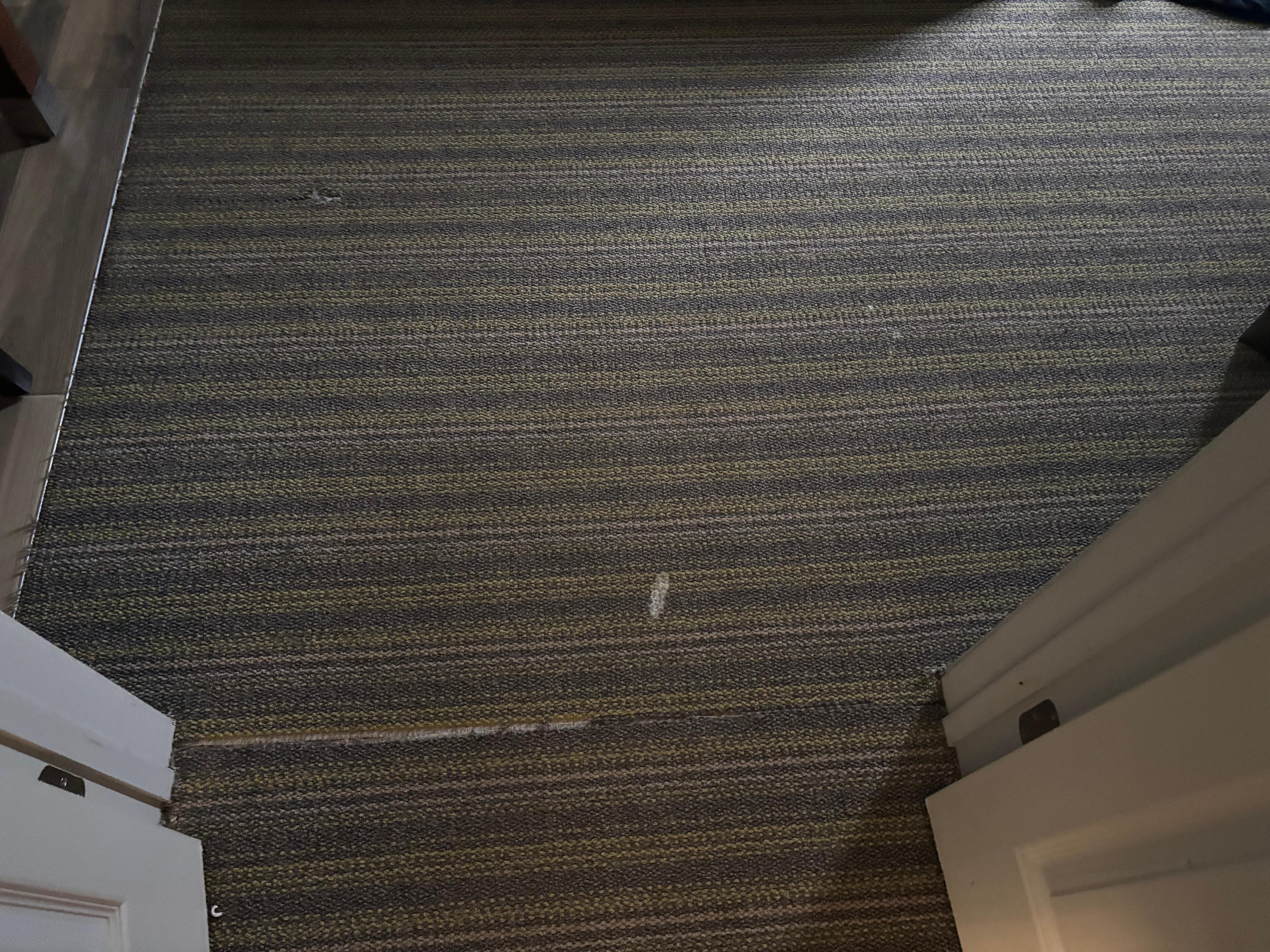 Stains in carpet
