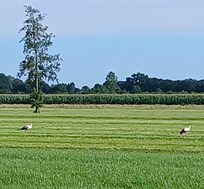Blick von der Terasse