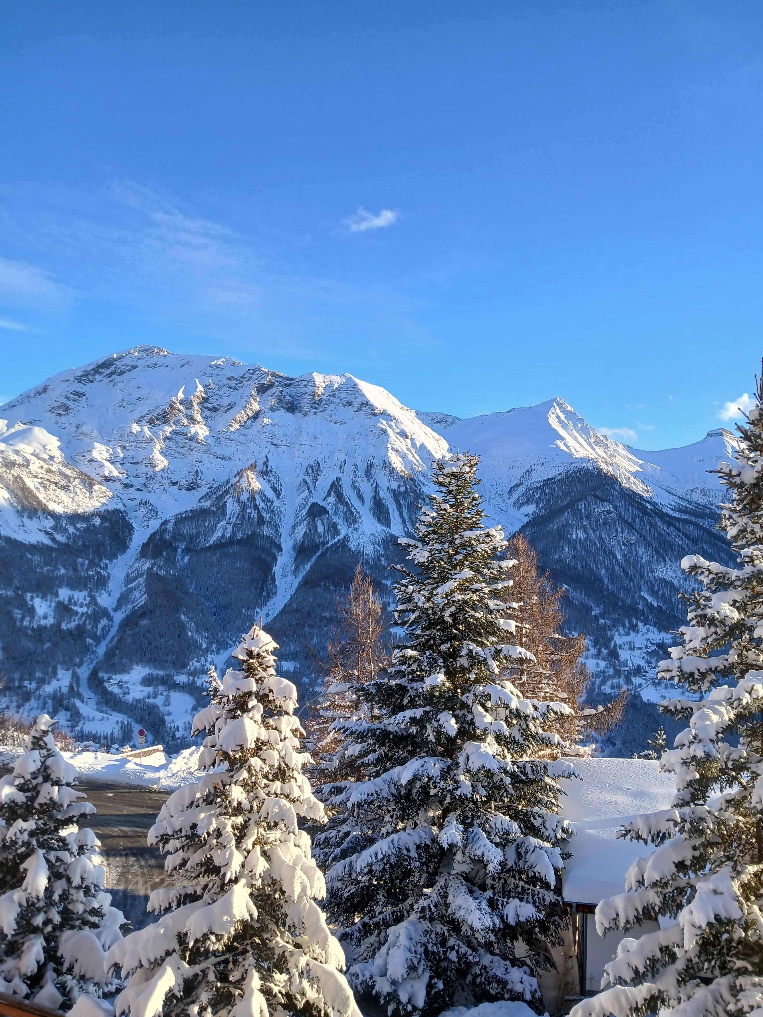 Vue depuis l'appartement 