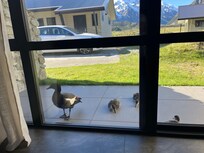 We had some visitors!