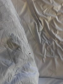 Blood and stained sheets