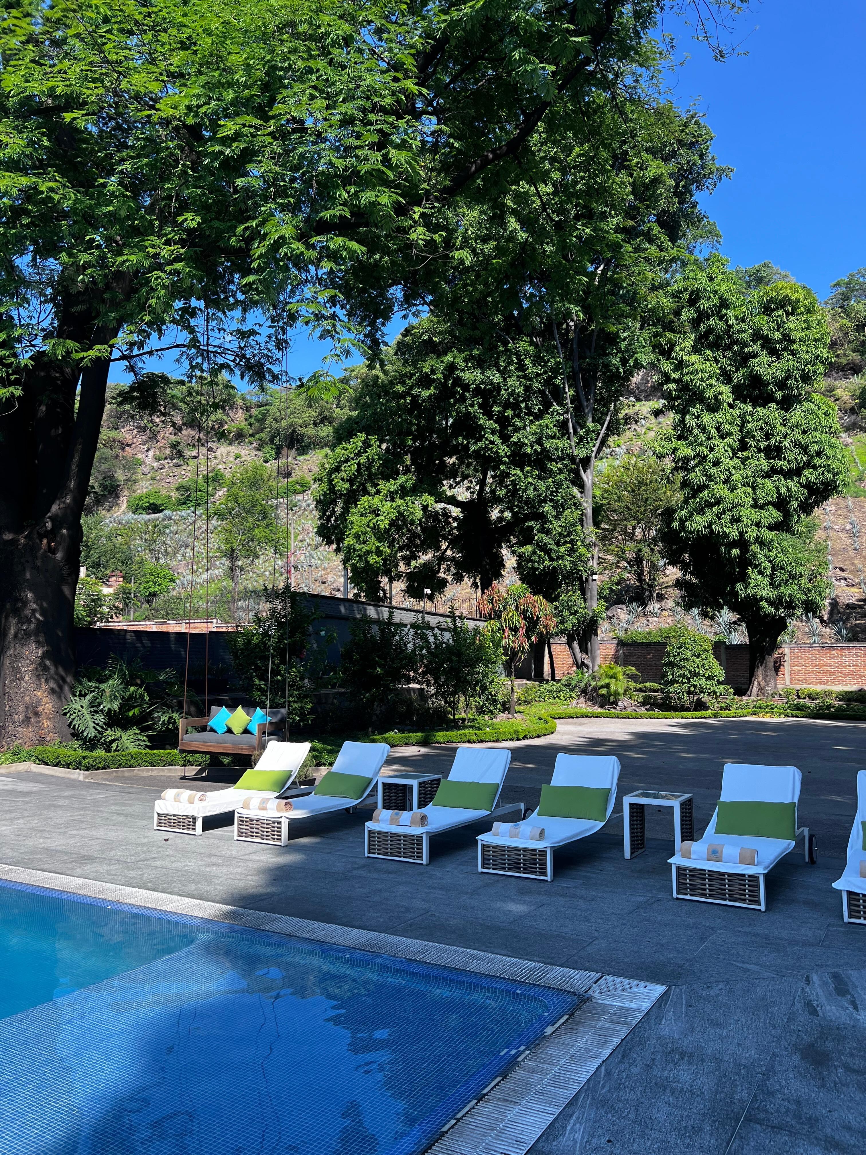 Garden area near pool. 