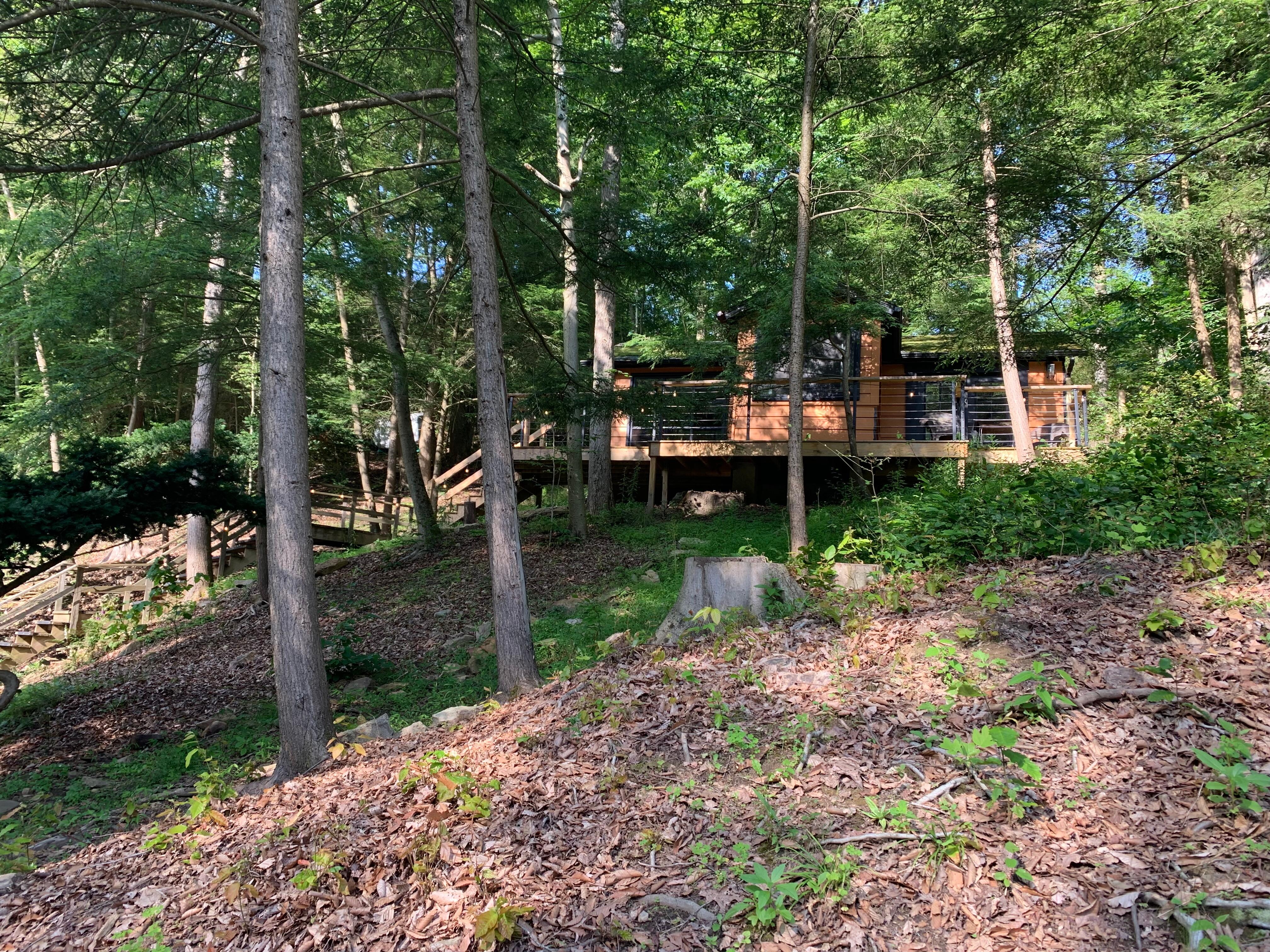 Gwen’s cabin