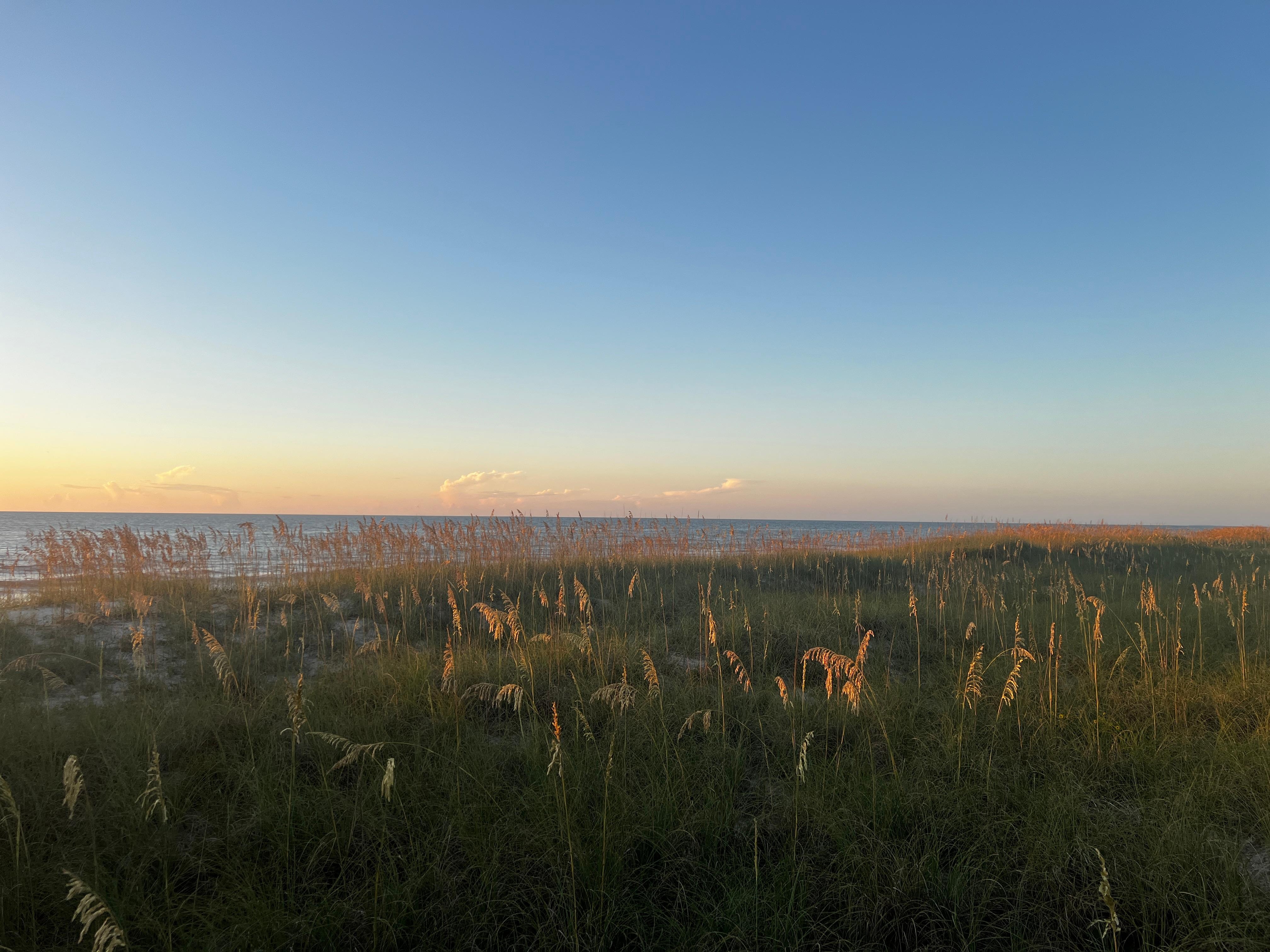 Sunrise walk on the beach.