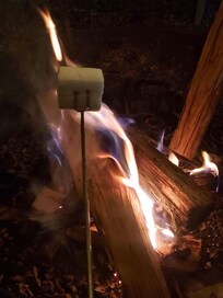 Roasting marshmellows