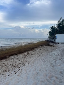 The beach ..