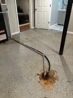 Basement Smell