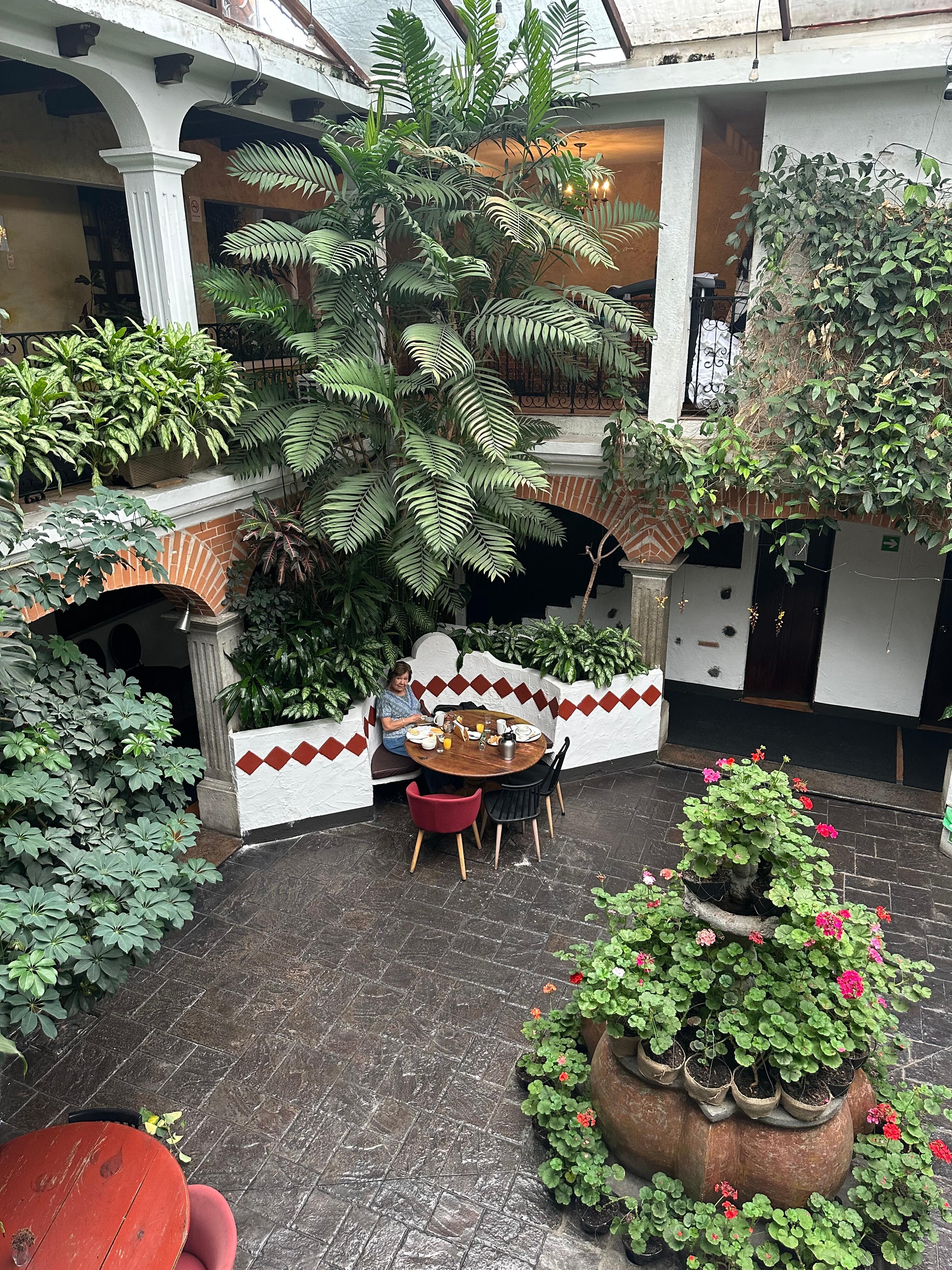 Their beautiful count yard.
