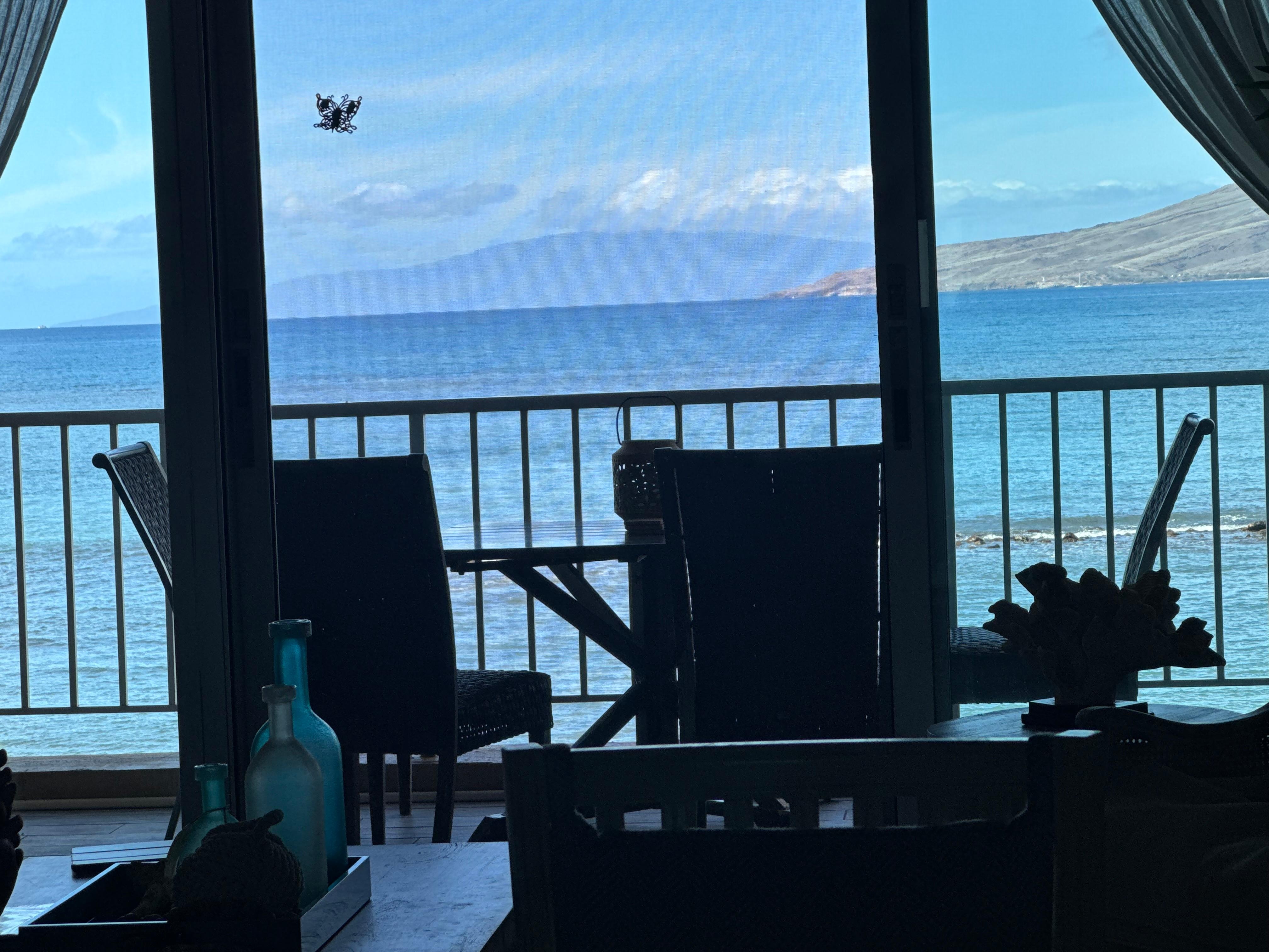 Looking out from the main area