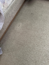 Soiled carpet way overdue for replacement