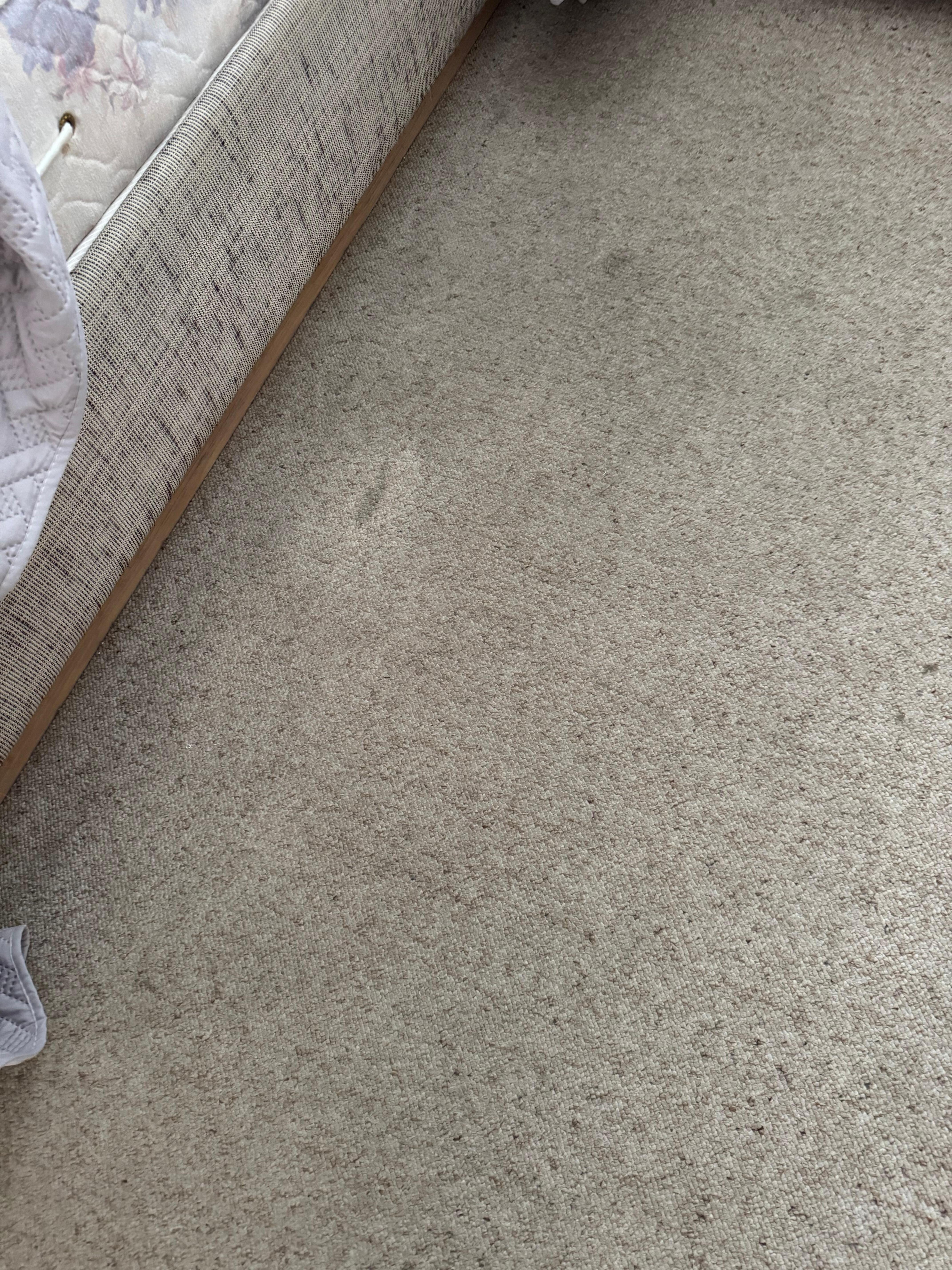 Soiled carpet way overdue for replacement