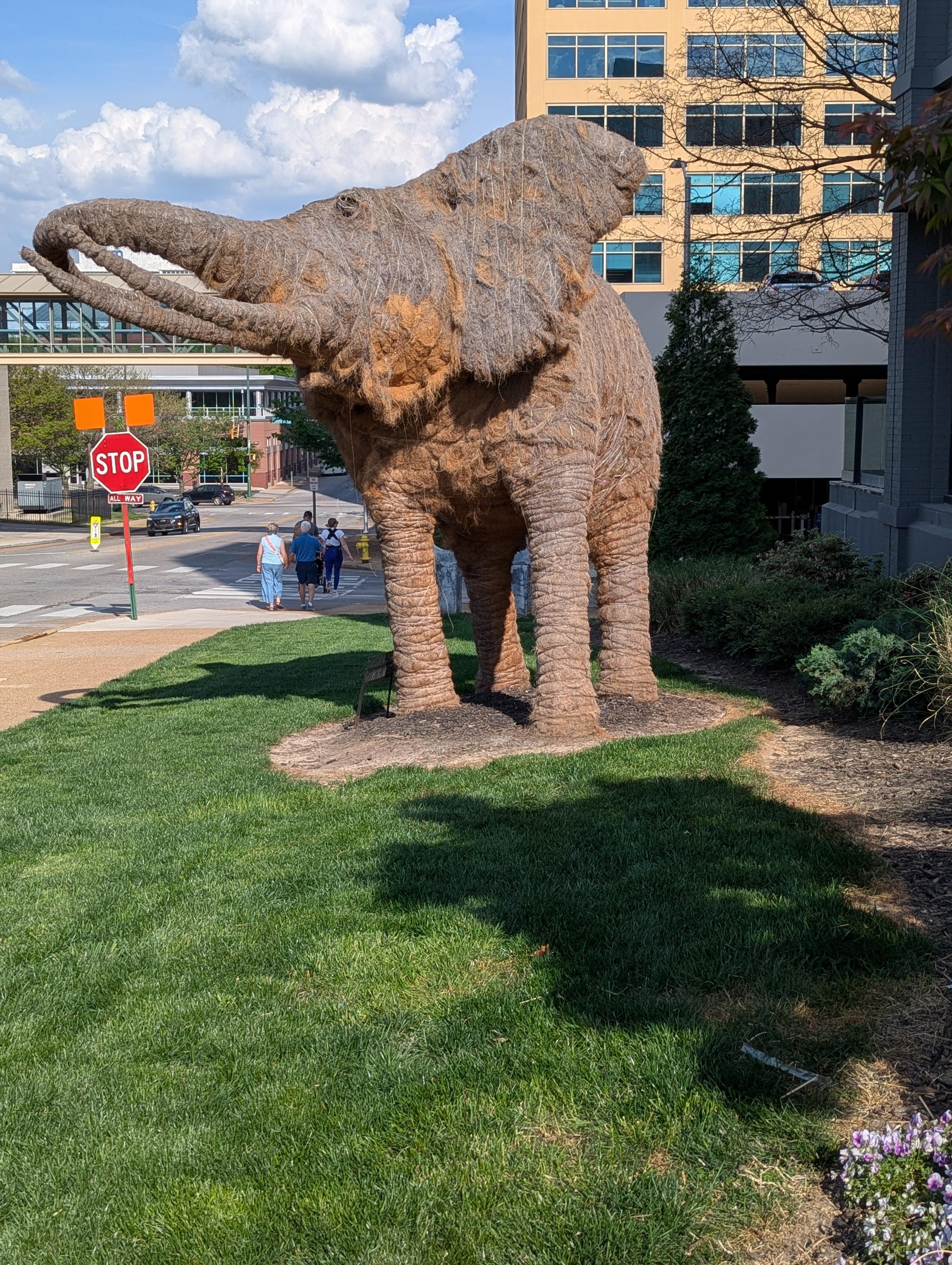Elephant outside hotel