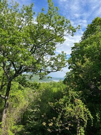 View from porch at the overlook lodge.