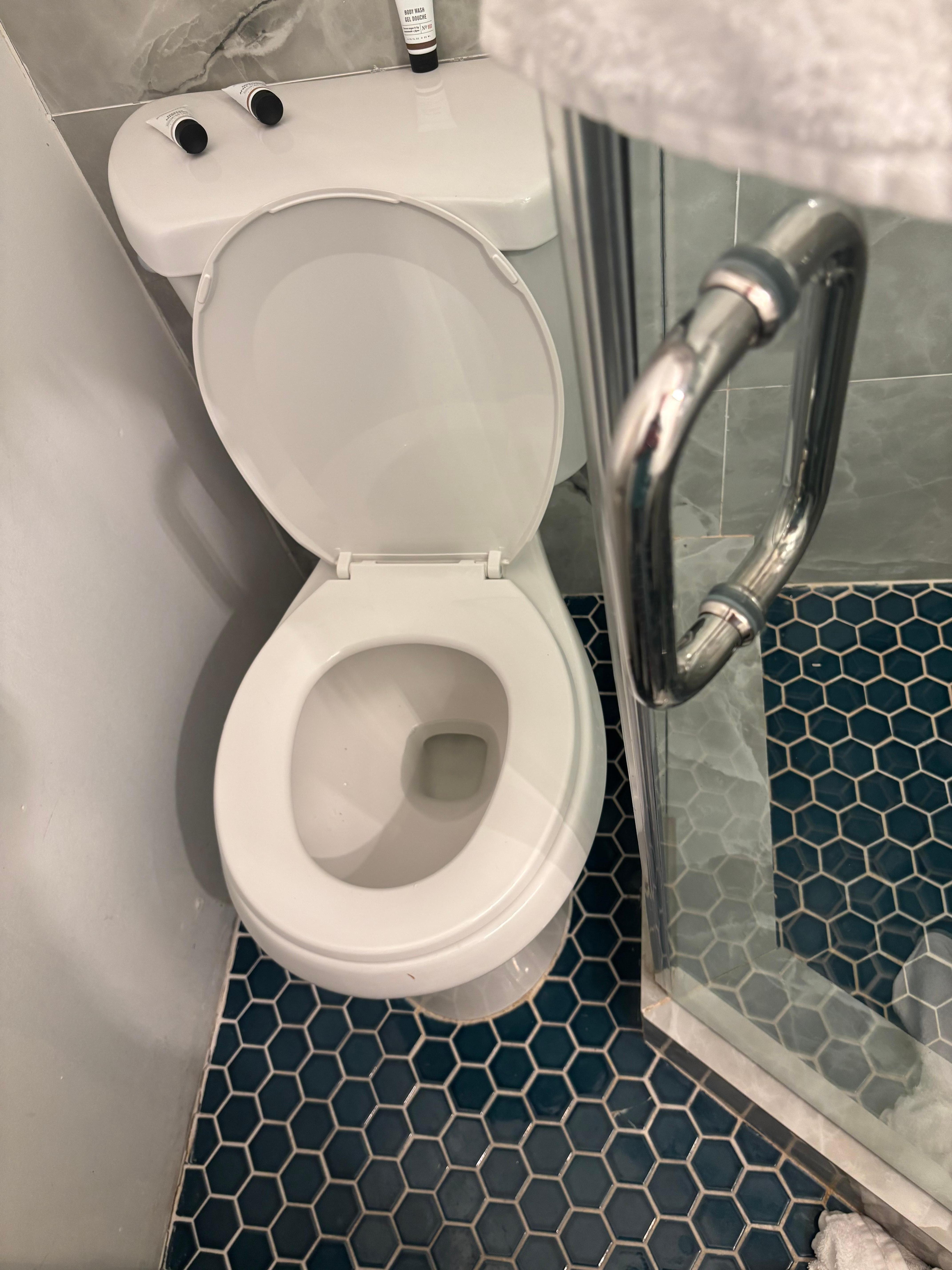 Toilet almost up against the shower. Had to use the one in the lobby