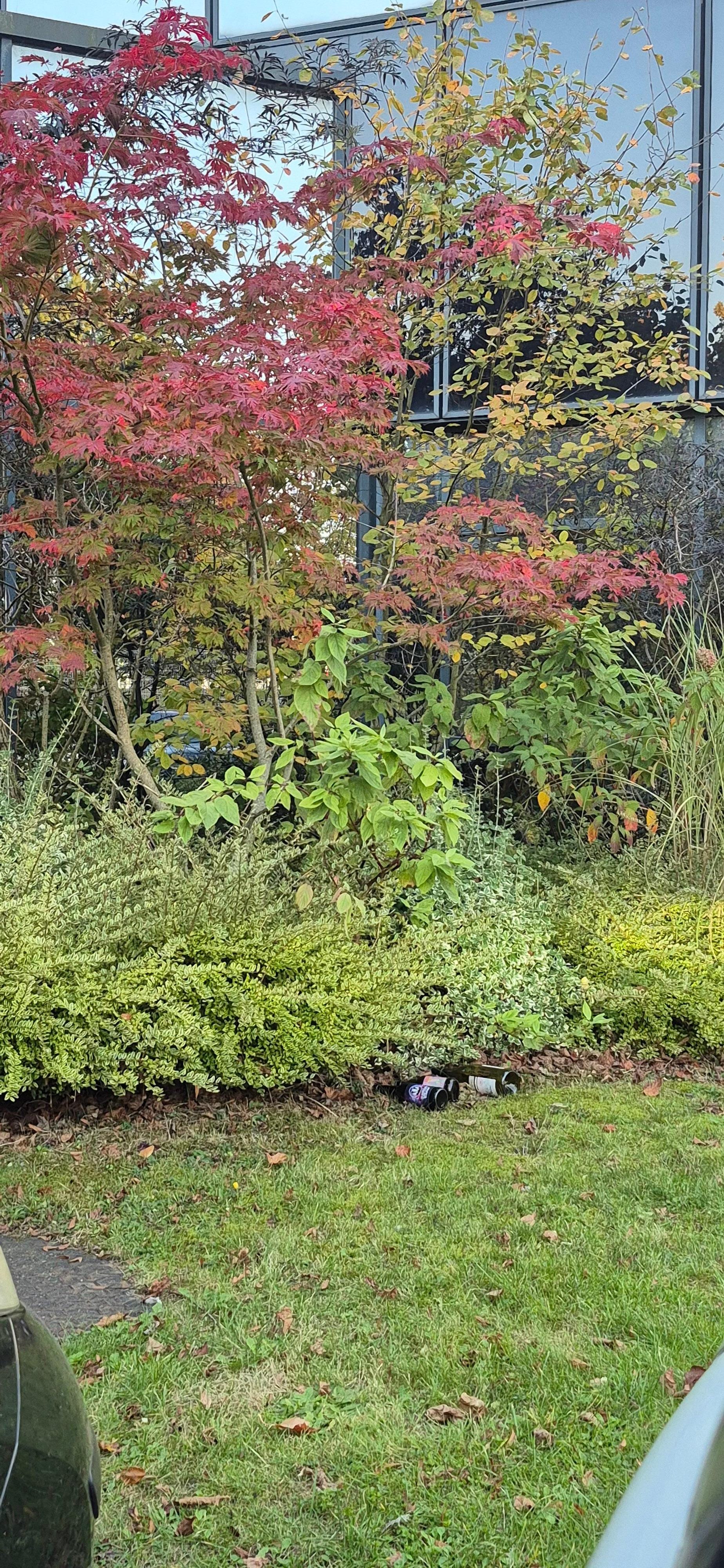 Bouteilles sur pelouse