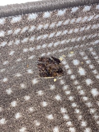 Something left over from not vacuuming well.