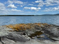 Low tide views