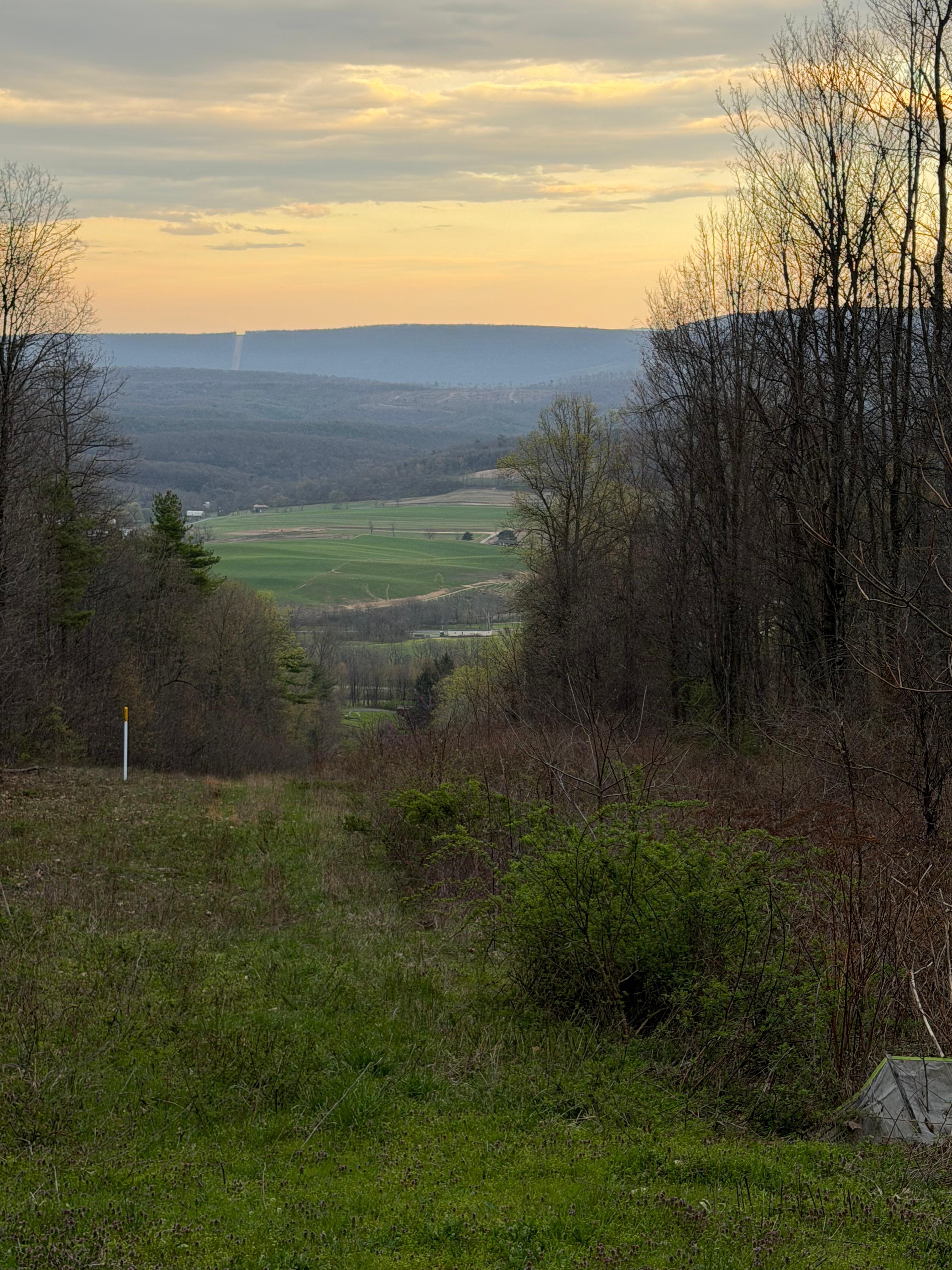 Normal pic of house from on the mountain road behind the house.