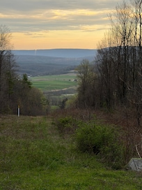 Normal pic of house from on the mountain road behind the house.