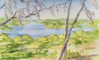 A small watercolor sketch of the view from the back deck of the house. I loved the Spanish moss on the trees!