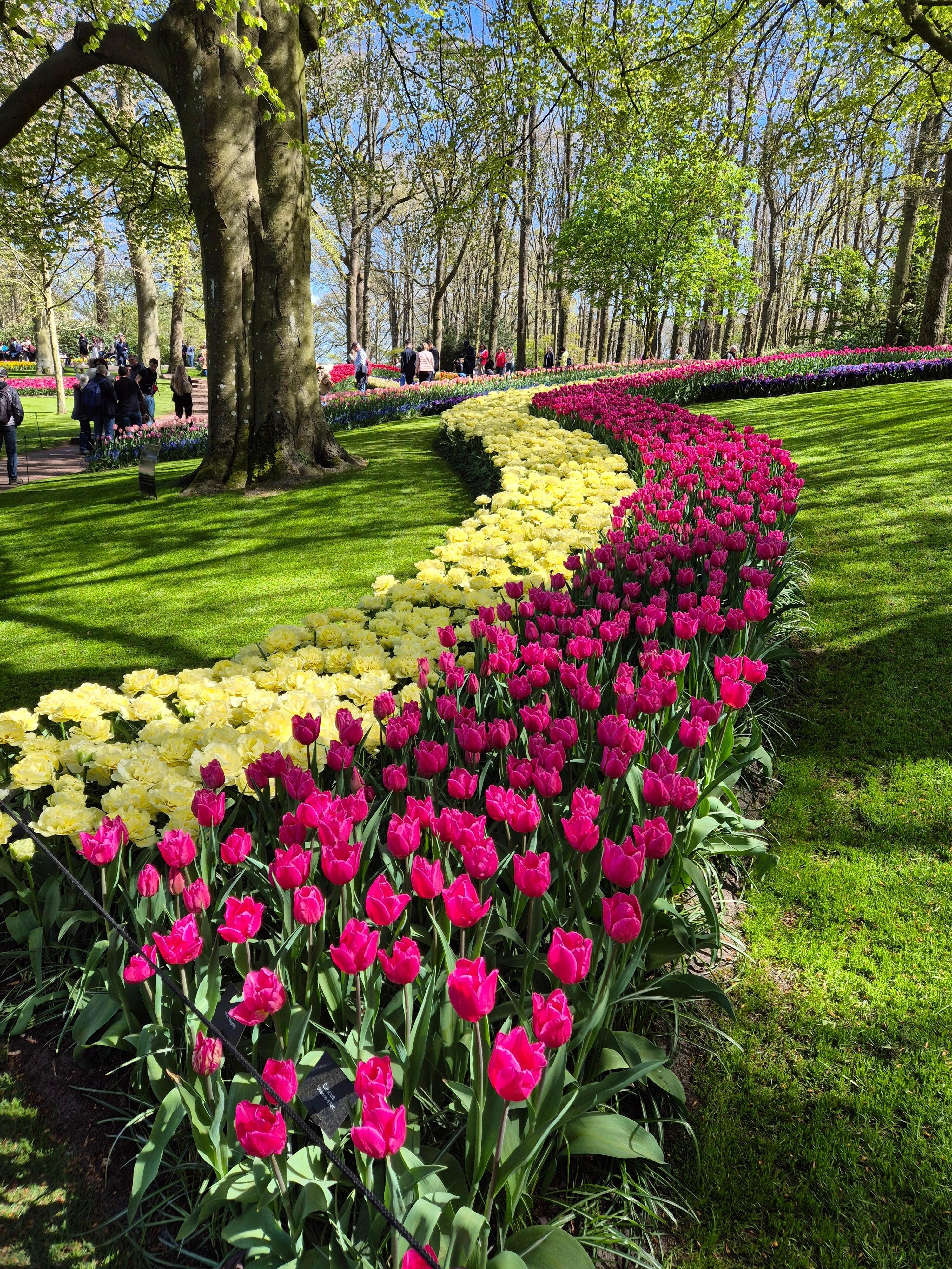 Beautiful Keukenhof Park