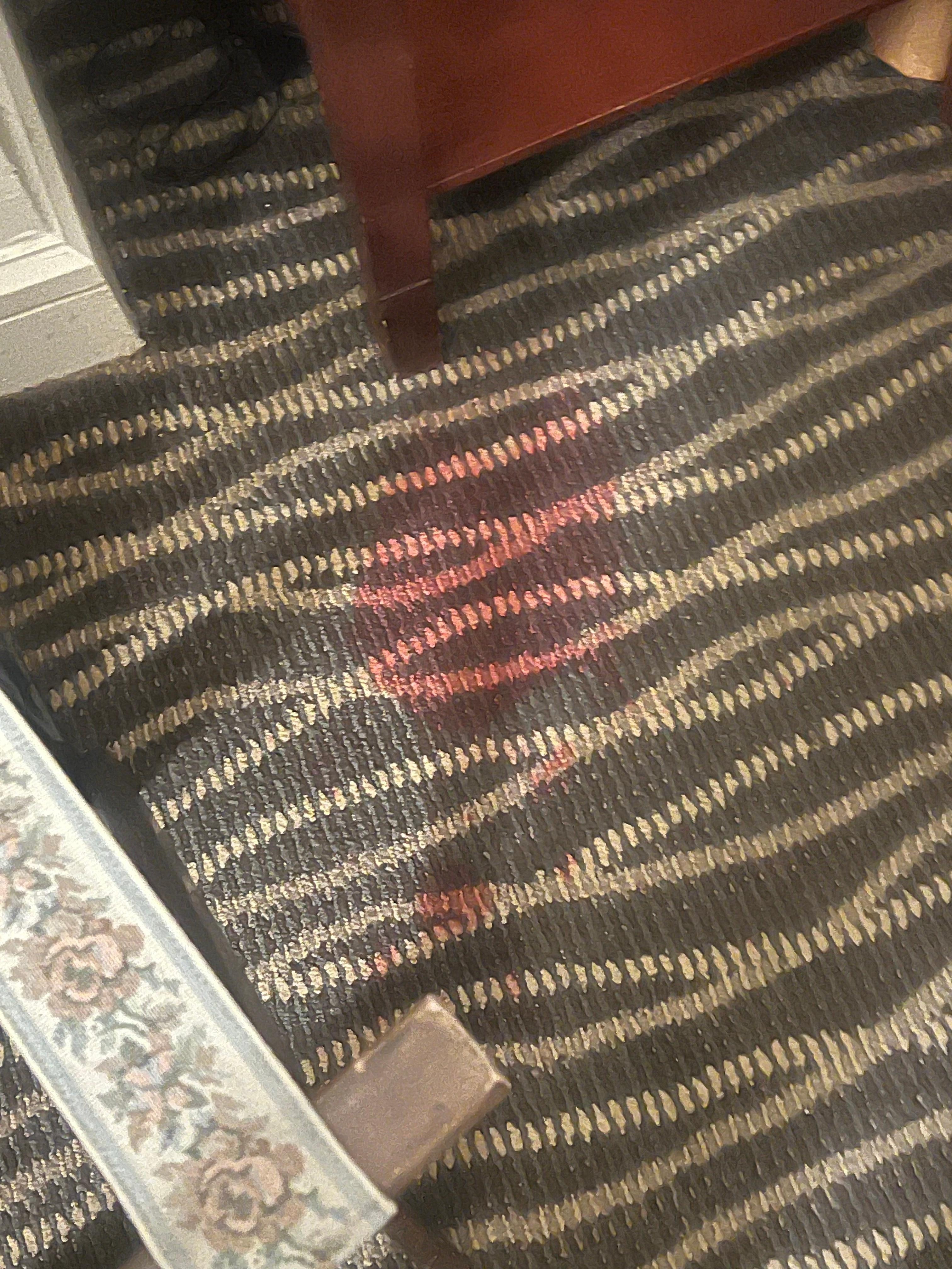 Stains in the carpet 