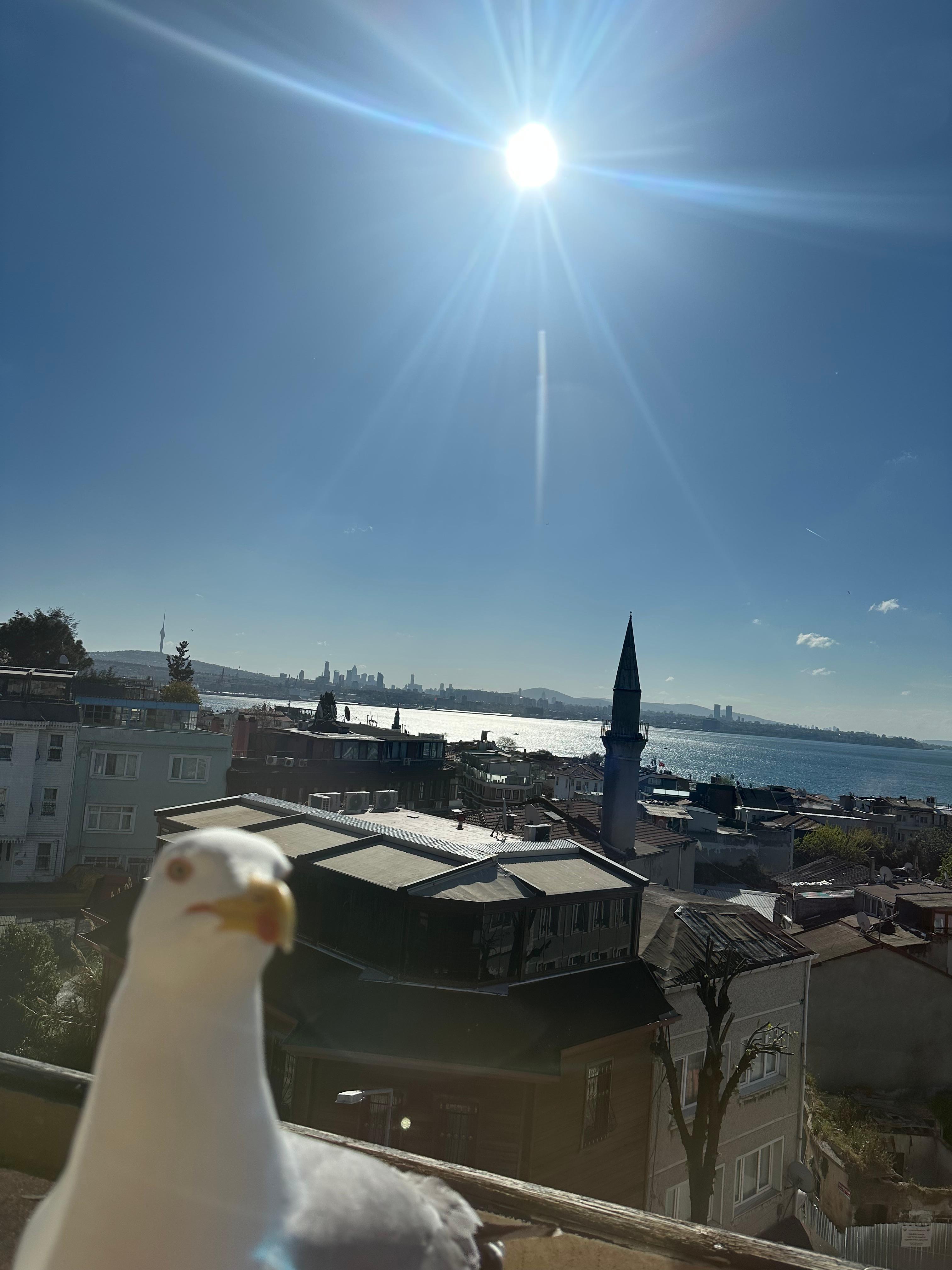 Breakfast view