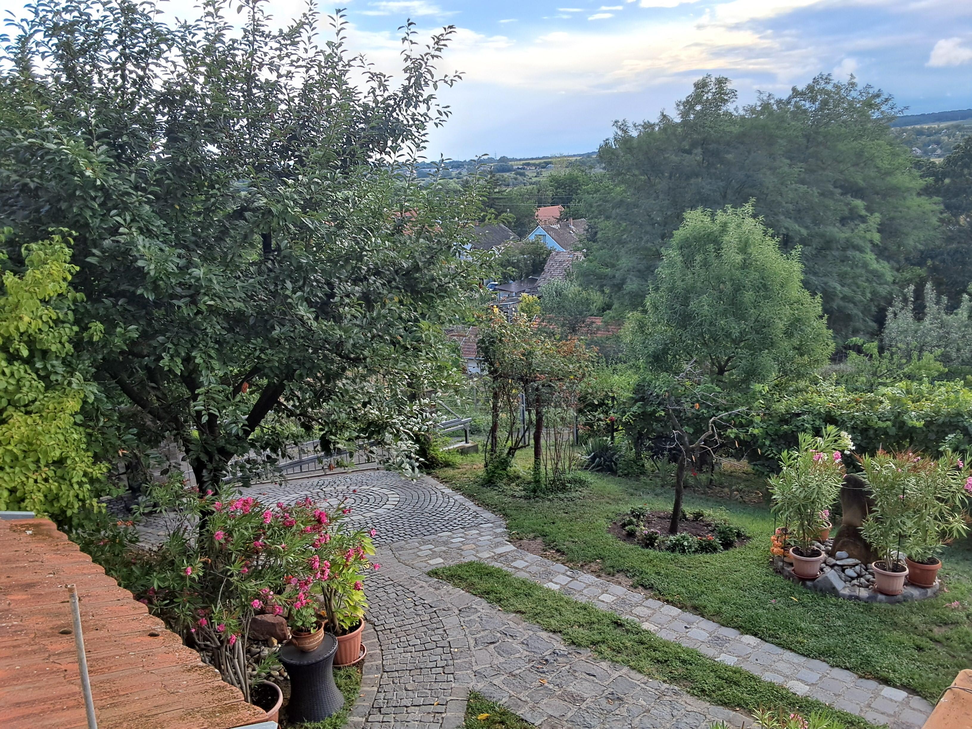 Blick von der Terrasse in die Einfahrt