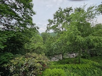 View from Porch