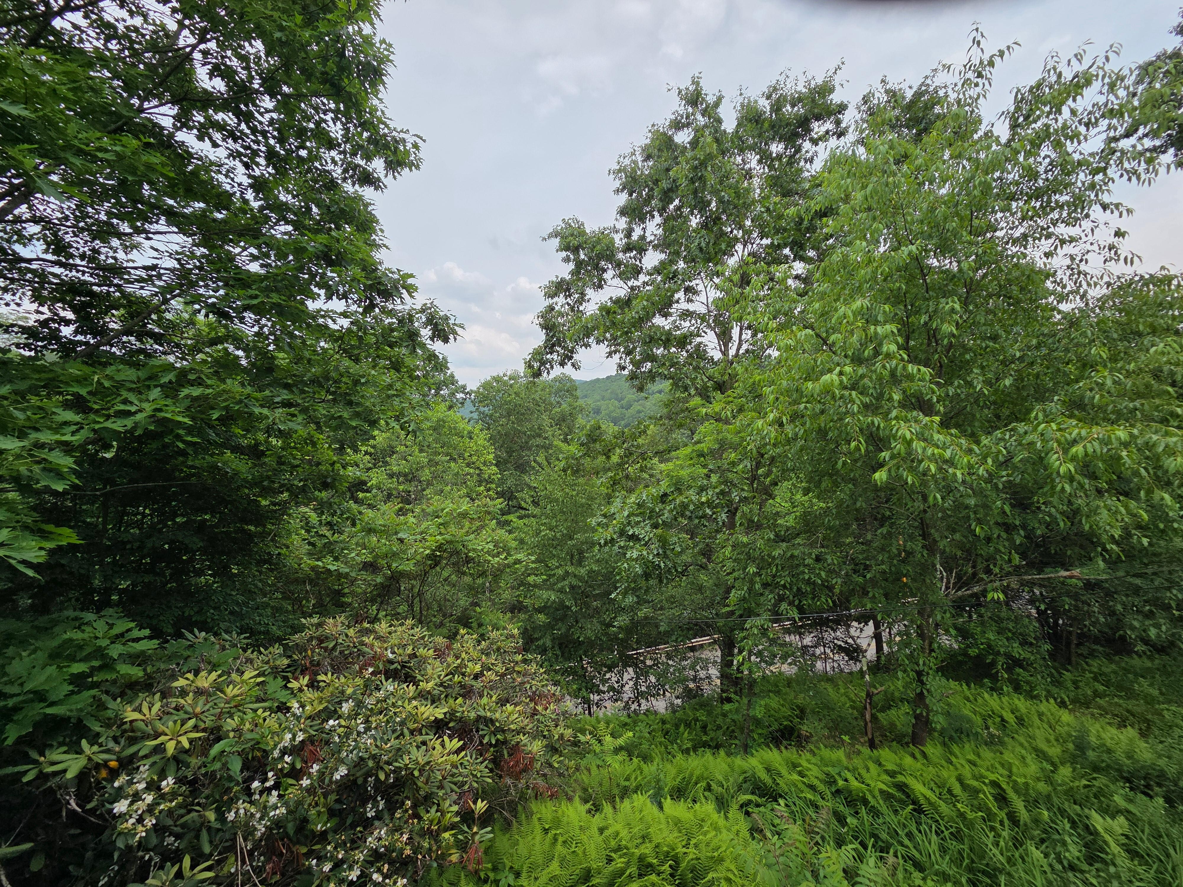 View from Porch