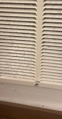 Vents