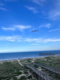 Seagulls from the balcony.