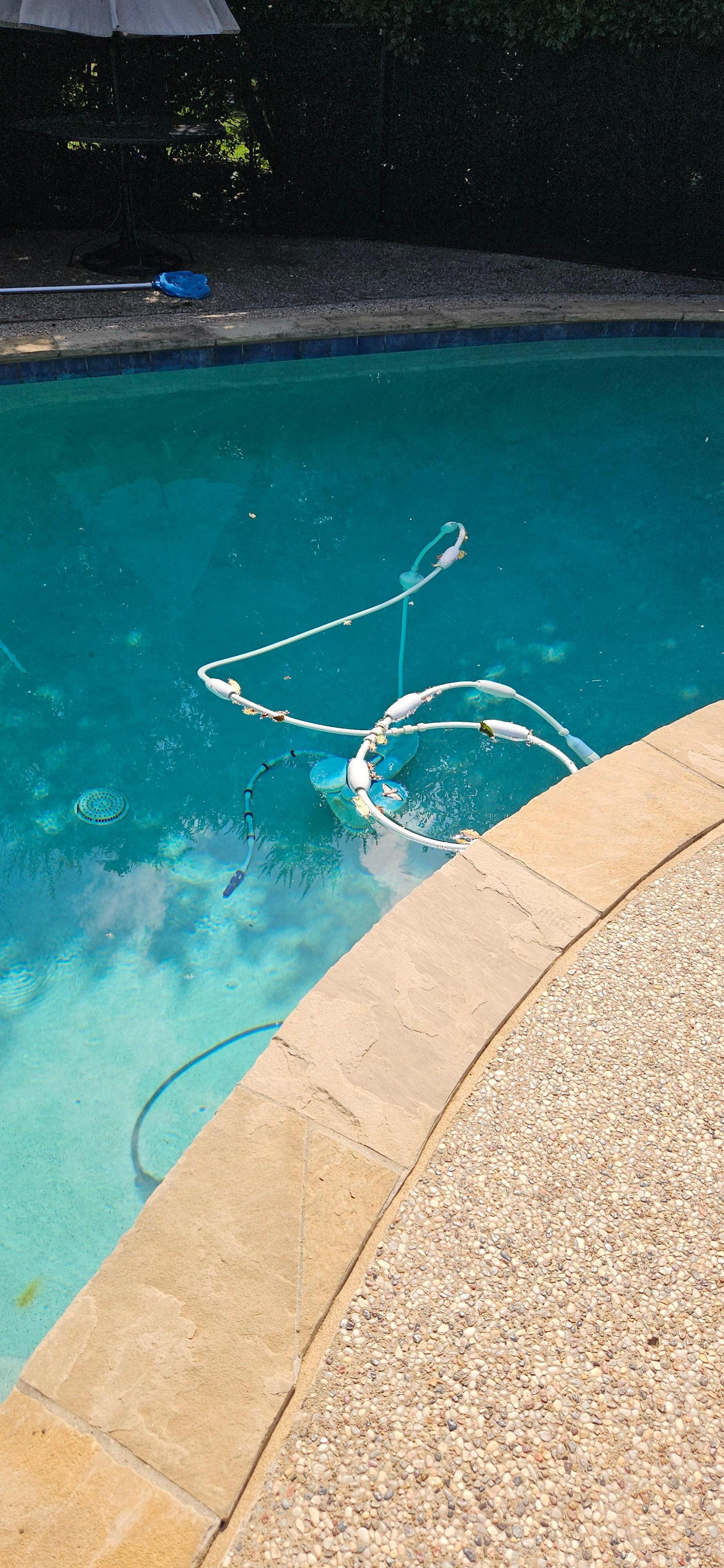 Pool vacuum left in the pool. Info stated that pool man comes on Monday and we arrived Friday afternoon.  