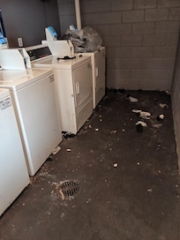 Rubbish on ground, lint from dryers and old clothes.
Filthy.