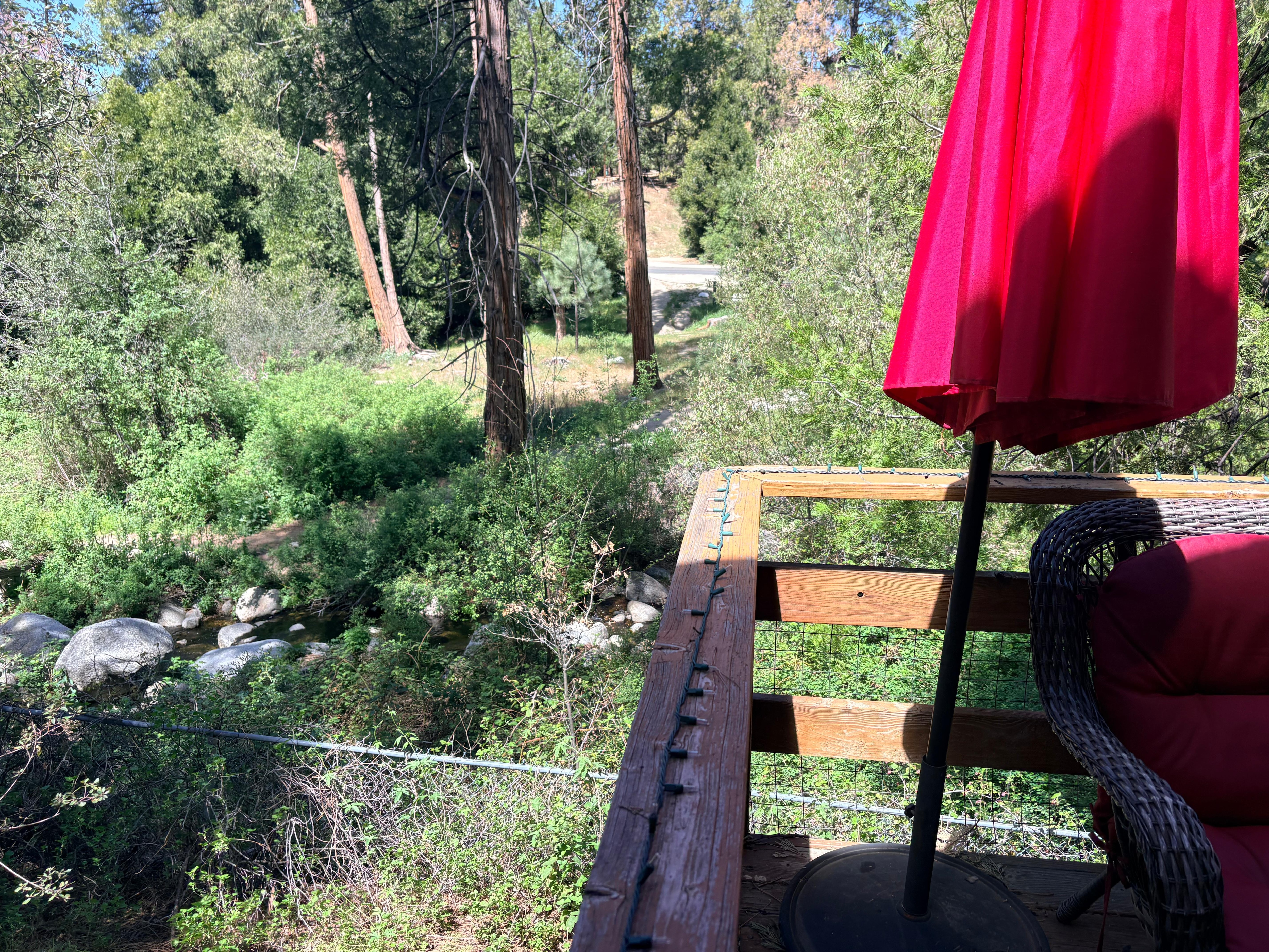 View of the creek from the deck. (Easy creek trail access from back yard gate)