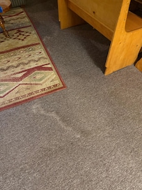 Water stained carpet